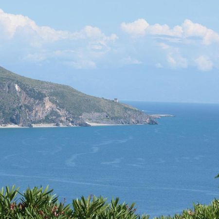 B&B La Carminella Palinuro Dış mekan fotoğraf