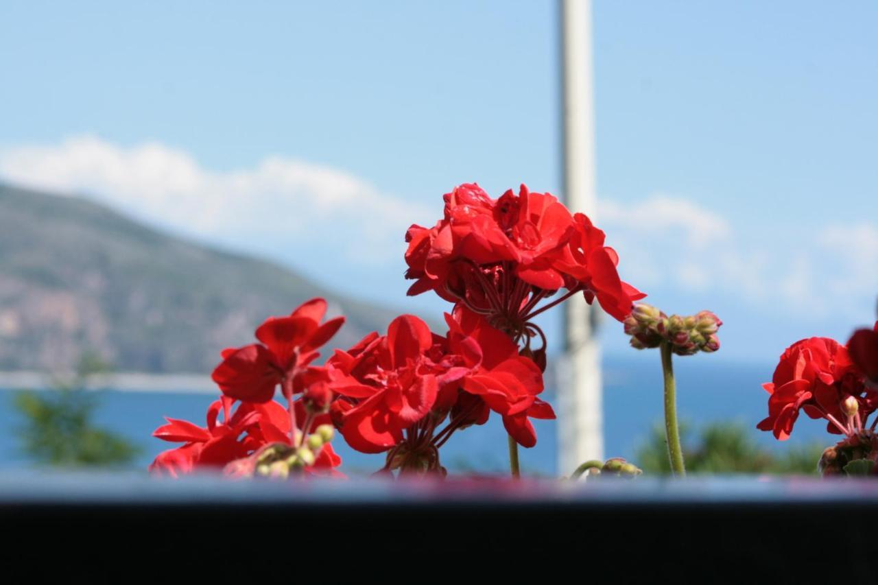 B&B La Carminella Palinuro Dış mekan fotoğraf